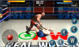 Real Wrestling 3D For PC Screenshot